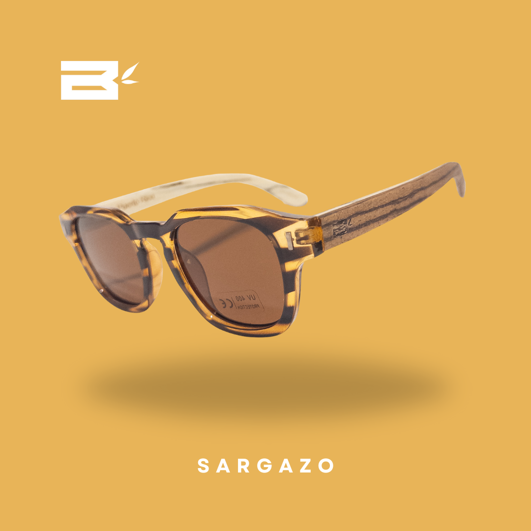 Sargazo