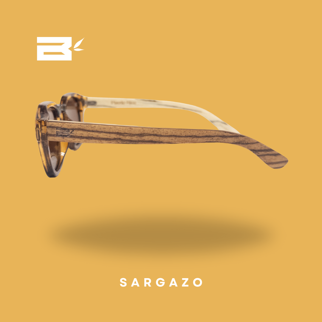 Sargazo