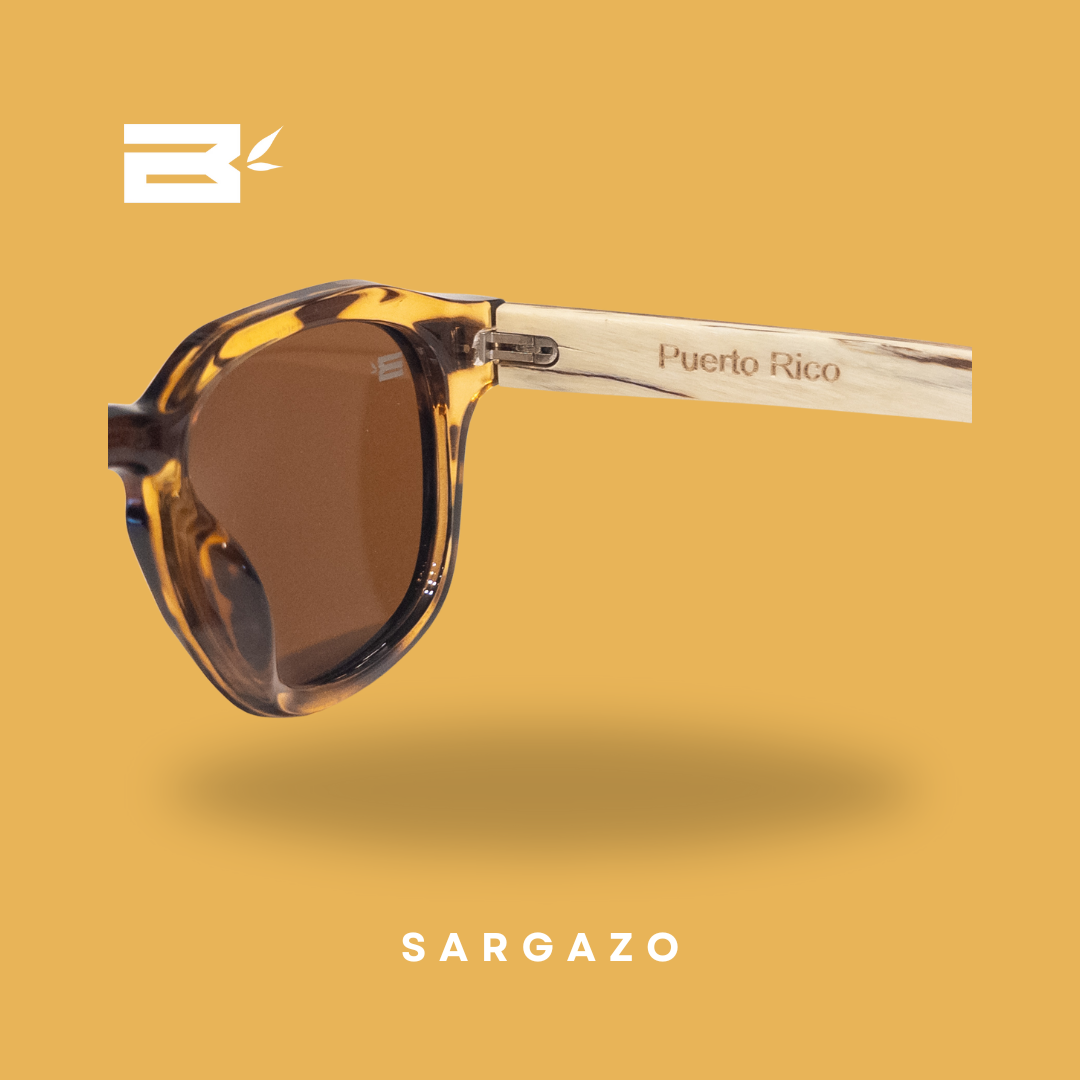 Sargazo