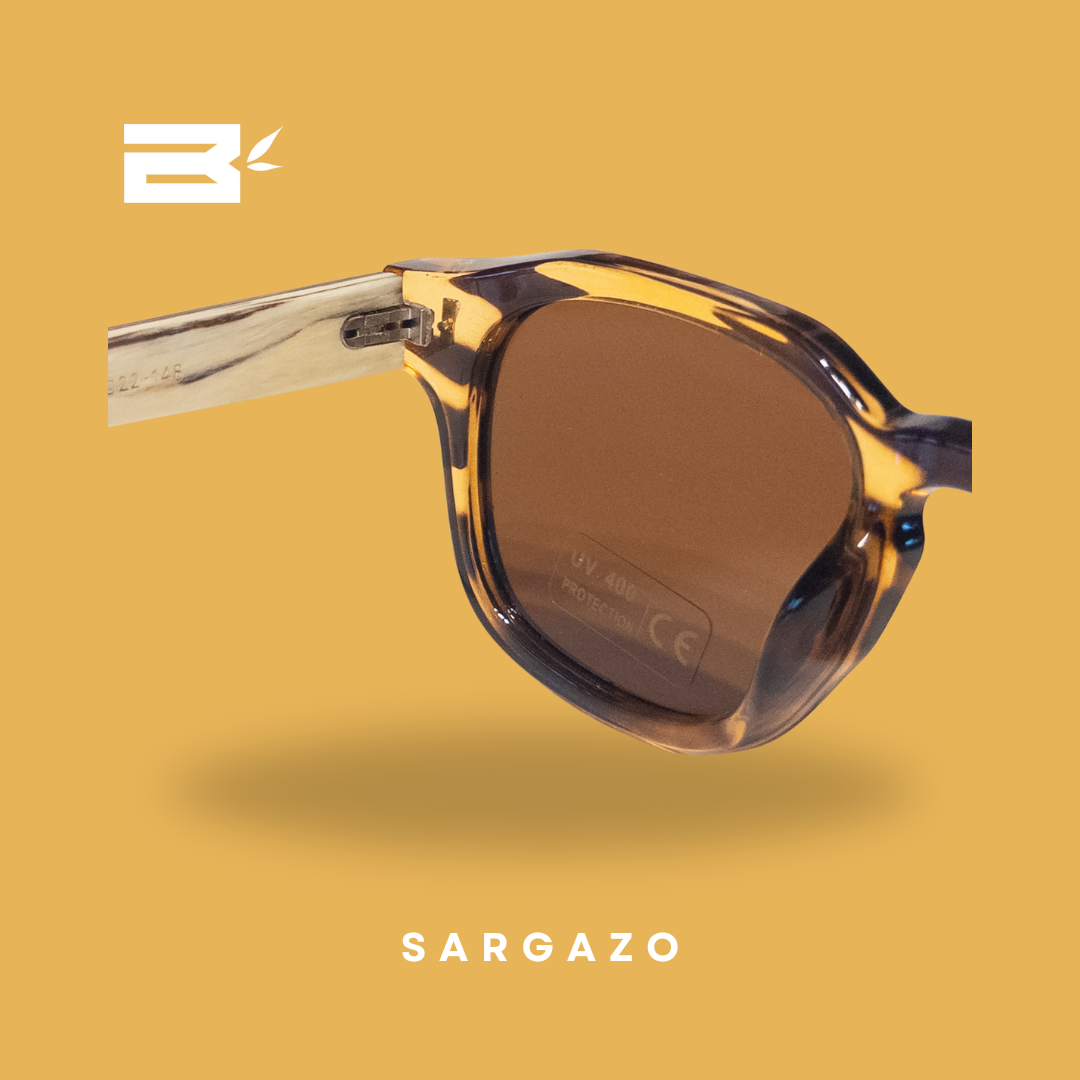 Sargazo
